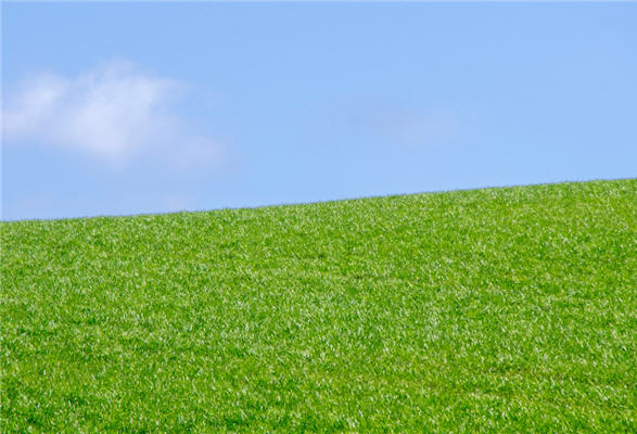 pré vert et ciel bleu